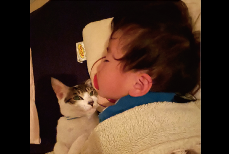 ネコが添い寝で慰めてくれている？男の子と一緒に布団にくるまる姿に反響「本当に優しい」「横にいてくれて心強い」