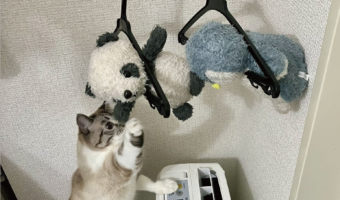 愛猫のお友達をお風呂に入れたら・・。なんとか助けようと奮闘する姿が話題に「必死でかわいい」「優しい子」