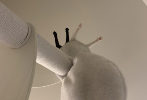 ハンモックからおててを出しているネコたち。その様子を下から見てもかわいいと話題に