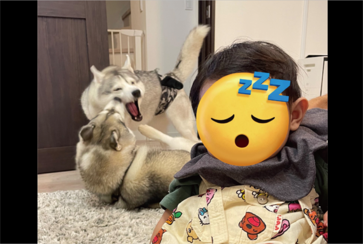 やっと眠ってくれた赤ちゃん。だけどその背後では・・今にも赤ちゃんが目覚めてしまいそうな事態が！？「この子はたくましく育つ」「後ろがえらいこっちゃですね」