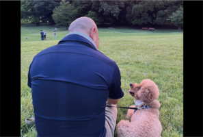 夕陽の中で語り合うふたり。トイプードルとパパさんの後ろ姿に反響「とても素敵な写真」「見つめる横顔がかわいい」
