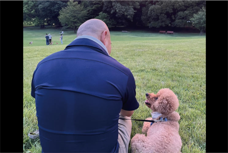 夕陽の中で語り合うふたり。トイプードルとパパさんの後ろ姿に反響「とても素敵な写真」「見つめる横顔がかわいい」