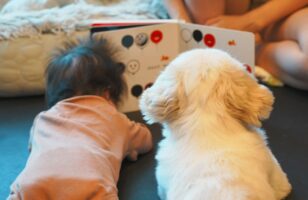 赤ちゃんの成長を近くで見守る優しいお兄ちゃん！一緒に絵本を読むペキニーズに反響「本当にいいお兄さんですね」「二人ともかわいすぎ」