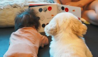 赤ちゃんの成長を近くで見守る優しいお兄ちゃん!一緒に絵本を読むペキニーズに反響「本当にいいお兄さんですね」「二人ともかわいすぎ」