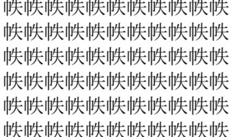 【脳トレ】「帙」の中に紛れて1つ違う文字がある！？あなたは何秒で探し出せるかな？？【違う文字を探せ！】
