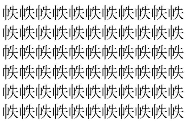 【脳トレ】「帙」の中に紛れて1つ違う文字がある！？あなたは何秒で探し出せるかな？？【違う文字を探せ！】