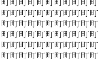 【脳トレ】「町」の中に紛れて1つ違う文字がある！？あなたは何秒で探し出せるかな？？【違う文字を探せ！】