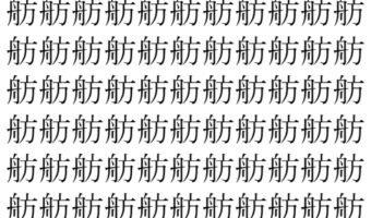【脳トレ】「舫」の中に紛れて1つ違う文字がある！？あなたは何秒で探し出せるかな？？【違う文字を探せ！】