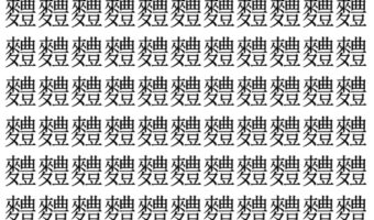 【脳トレ】「䵄」の中に紛れて1つ違う文字がある!?あなたは何秒で探し出せるかな??【違う文字を探せ!】