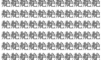【脳トレ】「艴」の中に紛れて1つ違う文字がある！？あなたは何秒で探し出せるかな？？【違う文字を探せ！】