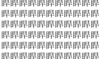 【脳トレ】「睅」の中に紛れて1つ違う文字がある！？あなたは何秒で探し出せるかな？？【違う文字を探せ！】