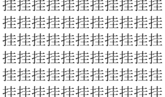 【脳トレ】「挂」の中に紛れて1つ違う文字がある！？あなたは何秒で探し出せるかな？？【違う文字を探せ！】