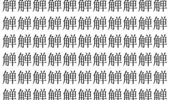 【脳トレ】「觯」の中に紛れて1つ違う文字がある！？あなたは何秒で探し出せるかな？？【違う文字を探せ！】