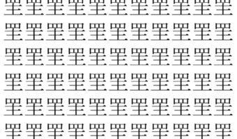 【脳トレ】「罜」の中に紛れて1つ違う文字がある！？あなたは何秒で探し出せるかな？？【違う文字を探せ！】