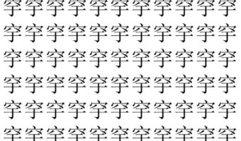 【脳トレ】「穻」の中に紛れて1つ違う文字がある！？あなたは何秒で探し出せるかな？？【違う文字を探せ！】