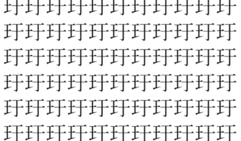 【脳トレ】「玗」の中に紛れて1つ違う文字がある！？あなたは何秒で探し出せるかな？？【違う文字を探せ！】