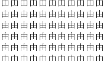 【脳トレ】「由」の中に紛れて1つ違う文字がある！？あなたは何秒で探し出せるかな？？【違う文字を探せ！】