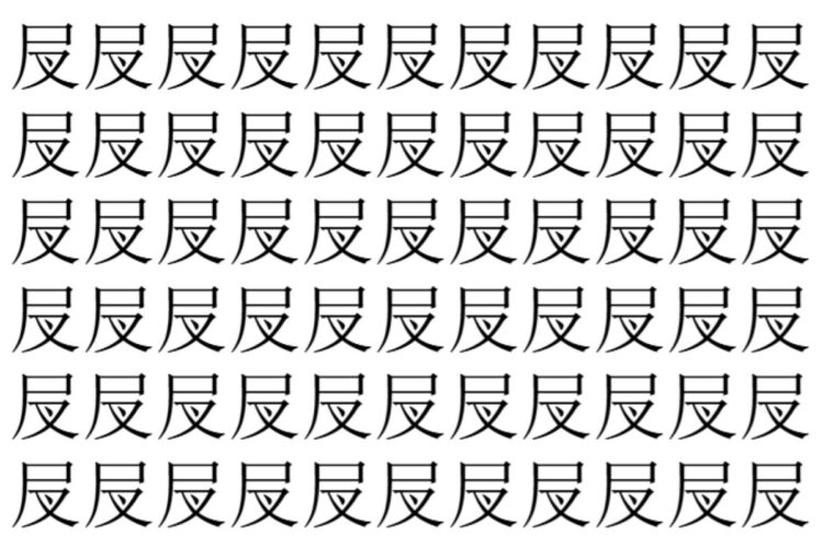 【脳トレ】「𡰫」の中に紛れて1つ違う文字がある！？あなたは何秒で探し出せるかな？？【違う文字を探せ！】