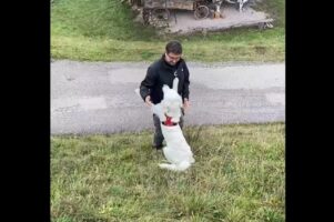 抱きつく場所が悪かった！？パパさんと愛犬がふたりそろって斜面から転がり落ちた！！【海外・動画】