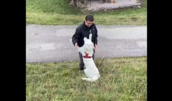 抱きつく場所が悪かった!?パパさんと愛犬がふたりそろって斜面から転がり落ちた!!【海外・動画】