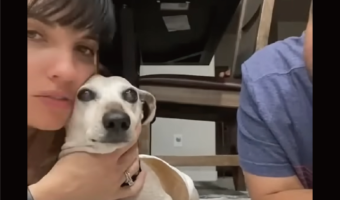 キスしていいのはママだけ！ママとパパが交互でキスした愛犬のリアクションが露骨に違う！！