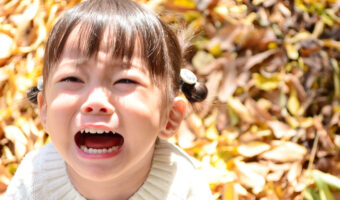 探しても見つからない・・・激レアどんぐりに振り回されるママの日常