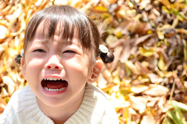 探しても見つからない・・・激レアどんぐりに振り回されるママの日常