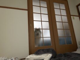 磨りガラスの向こうにアラスカンマラミュートが！ワンともスンとも言わず、飼い主さんが起きるの待っているのが健気すぎる！