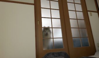 磨りガラスの向こうにアラスカンマラミュートが!ワンともスンとも言わず、飼い主さんが起きるの待っているのが健気すぎる!