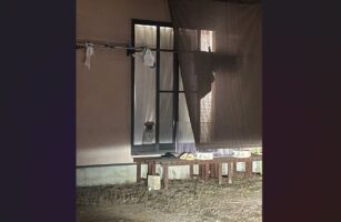 窓際で帰宅を待ってくれている。健気なパグが話題に「ペットは裏切らない」「アカン、泣けてくる」