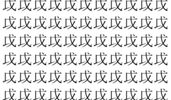 【脳トレ】「戉」の中に紛れて1つ違う文字がある！？あなたは何秒で探し出せるかな？？【違う文字を探せ！】