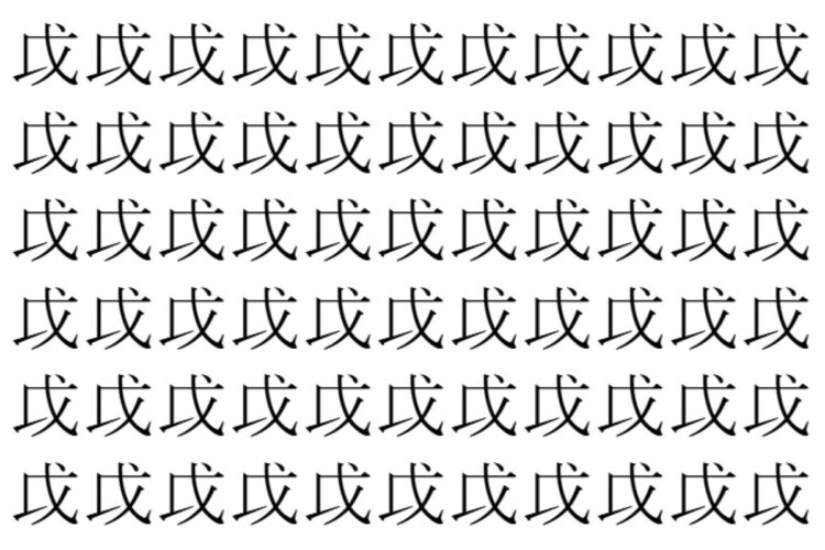 【脳トレ】「戉」の中に紛れて1つ違う文字がある！？あなたは何秒で探し出せるかな？？【違う文字を探せ！】