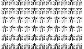 【脳トレ】「𩇶」の中に紛れて1つ違う文字がある！？あなたは何秒で探し出せるかな？？【違う文字を探せ！】
