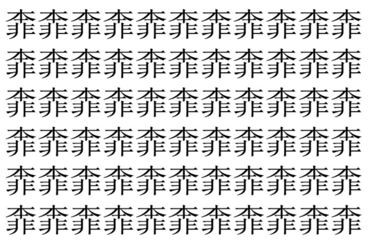 【脳トレ】「𩇶」の中に紛れて1つ違う文字がある！？あなたは何秒で探し出せるかな？？【違う文字を探せ！】