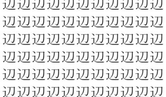 【脳トレ】「辺」の中に紛れて1つ違う文字がある！？あなたは何秒で探し出せるかな？？【違う文字を探せ！】
