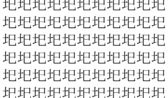 【脳トレ】「圯」の中に紛れて1つ違う文字がある！？あなたは何秒で探し出せるかな？？【違う文字を探せ！】