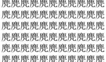 【脳トレ】「䴟」の中に紛れて1つ違う文字がある！？あなたは何秒で探し出せるかな？？【違う文字を探せ！】