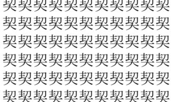 【脳トレ】「契」の中に紛れて1つ違う文字がある！？あなたは何秒で探し出せるかな？？【違う文字を探せ！】