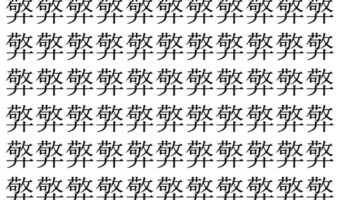 【脳トレ】「㢣」の中に紛れて1つ違う文字がある！？あなたは何秒で探し出せるかな？？【違う文字を探せ！】