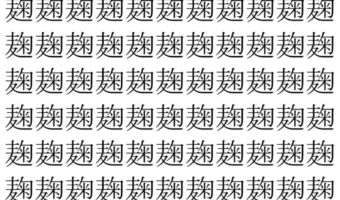 【脳トレ】「麹」の中に紛れて1つ違う文字がある！？あなたは何秒で探し出せるかな？？【違う文字を探せ！】