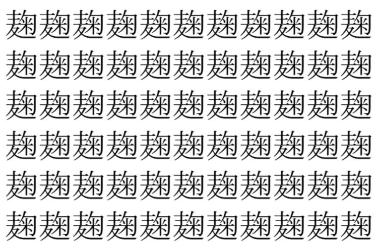 【脳トレ】「麹」の中に紛れて1つ違う文字がある！？あなたは何秒で探し出せるかな？？【違う文字を探せ！】