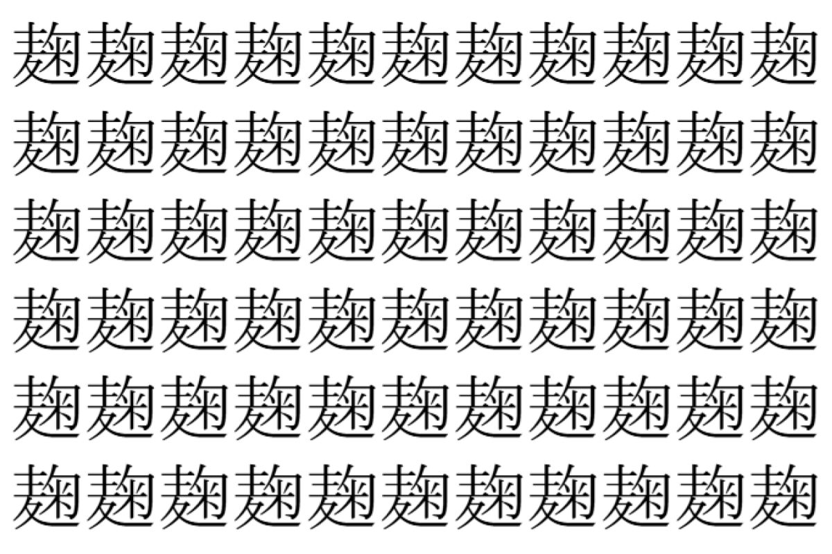 【脳トレ】「麹」の中に紛れて1つ違う文字がある！？あなたは何秒で探し出せるかな？？【違う文字を探せ！】