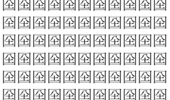 【脳トレ】「囶」の中に紛れて1つ違う文字がある！？あなたは何秒で探し出せるかな？？【違う文字を探せ！】