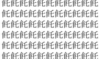 【脳トレ】「飥」の中に紛れて1つ違う文字がある！？あなたは何秒で探し出せるかな？？【違う文字を探せ！】