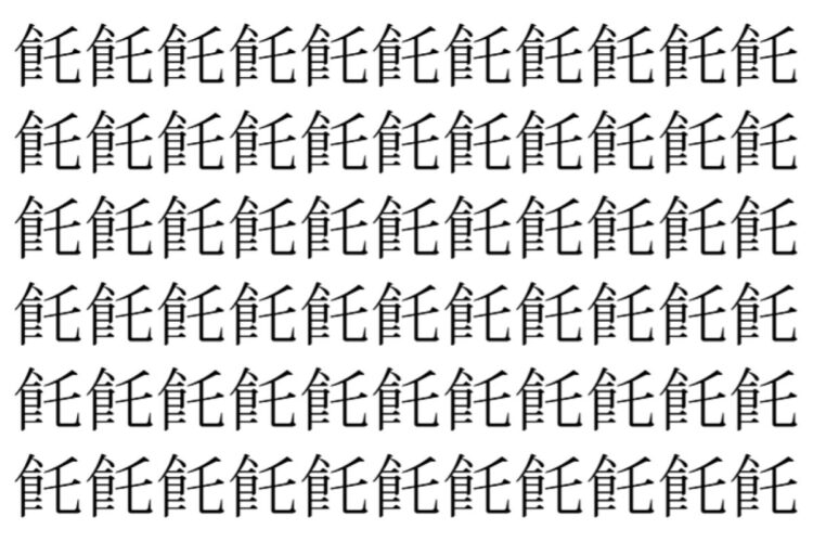 【脳トレ】「飥」の中に紛れて1つ違う文字がある！？あなたは何秒で探し出せるかな？？【違う文字を探せ！】