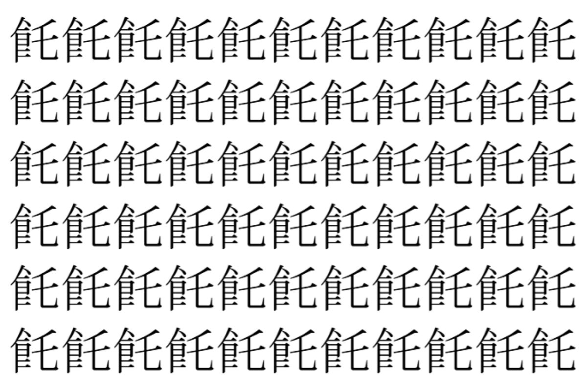 【脳トレ】「飥」の中に紛れて1つ違う文字がある!?あなたは何秒で探し出せるかな??【違う文字を探せ!】