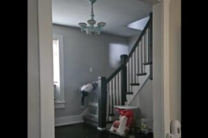 オモチャを取りに家の中を駆ける愛犬。壁走りで柵を飛び越えた！？【アメリカ・動画】