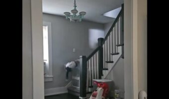 オモチャを取りに家の中を駆ける愛犬。壁走りで柵を飛び越えた！？【アメリカ・動画】