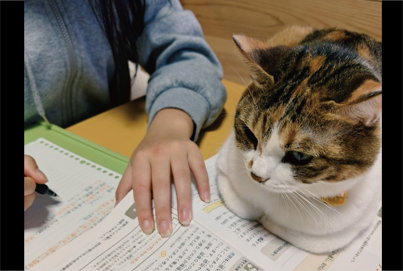 勉強しているかチェック中?テスト勉強を見守るネコが話題に「力強い家庭教師だ!」「きびしいチェックが入ってますね~」
