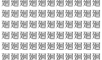 【脳トレ】「廻」の中に紛れて1つ違う文字がある！？あなたは何秒で探し出せるかな？？【違う文字を探せ！】